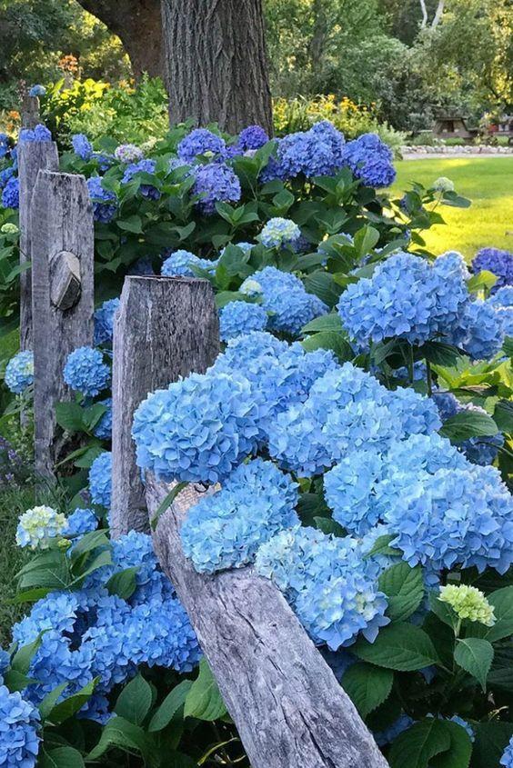Whispers of Daybreak Serenity Bouquet